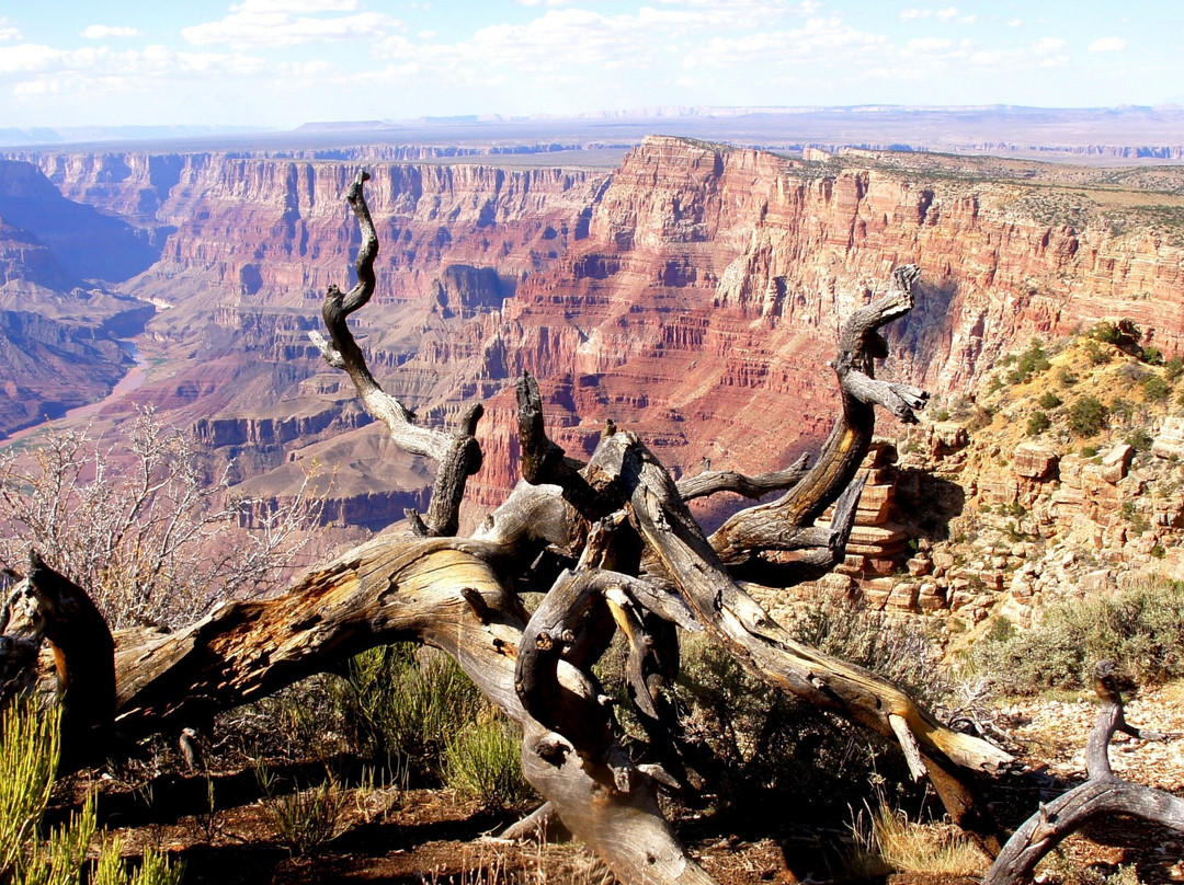 Navajo Point景点图片