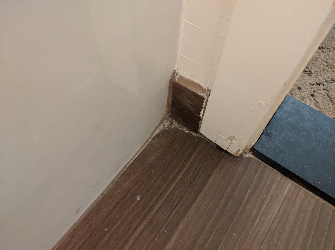 Hampton Inn Harrisonburg - University主图