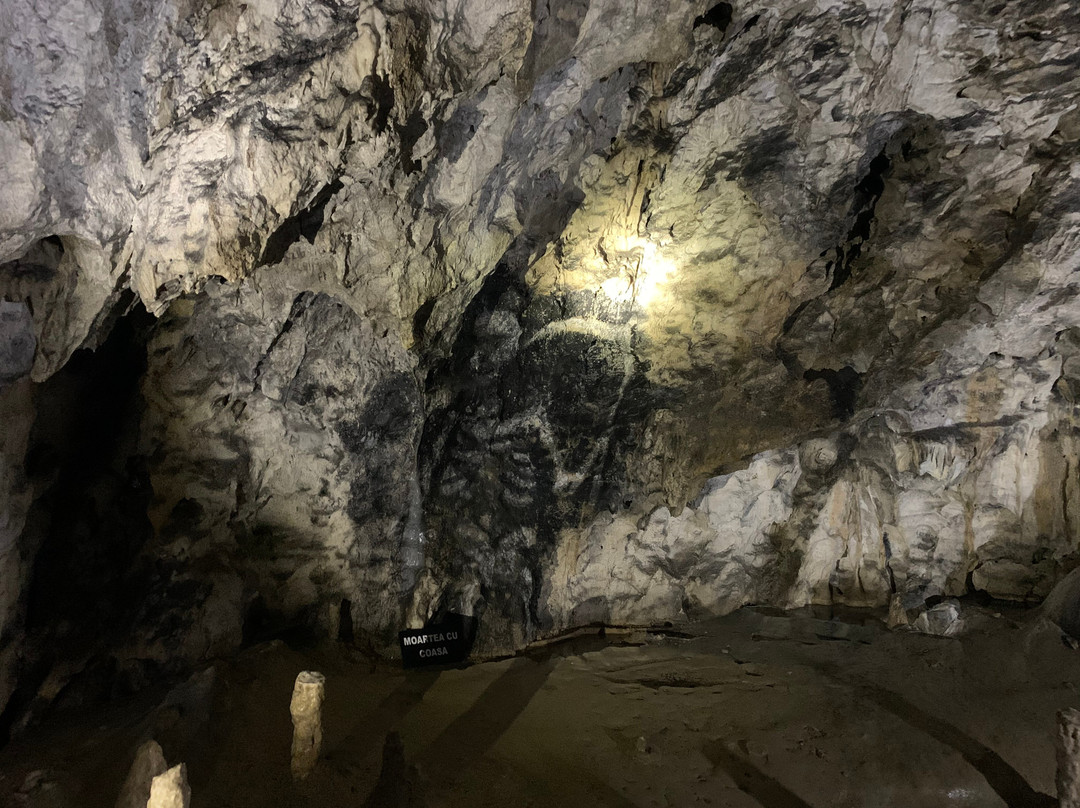 Polovragi Cave-Polovragi必去景点