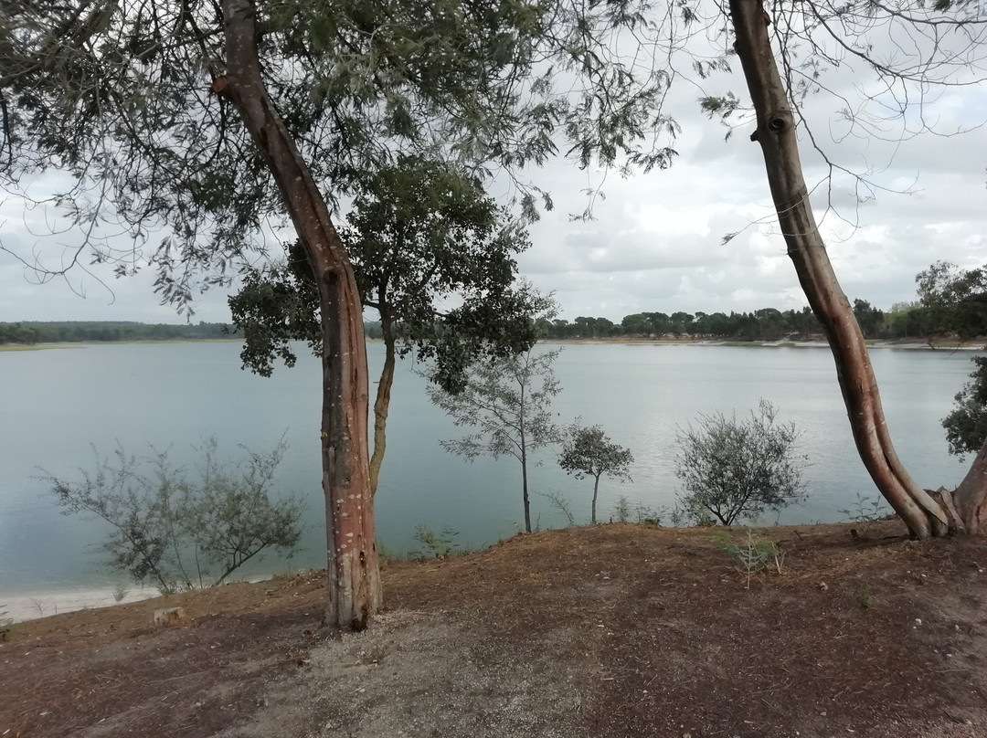 Barragem De Magos景点图片