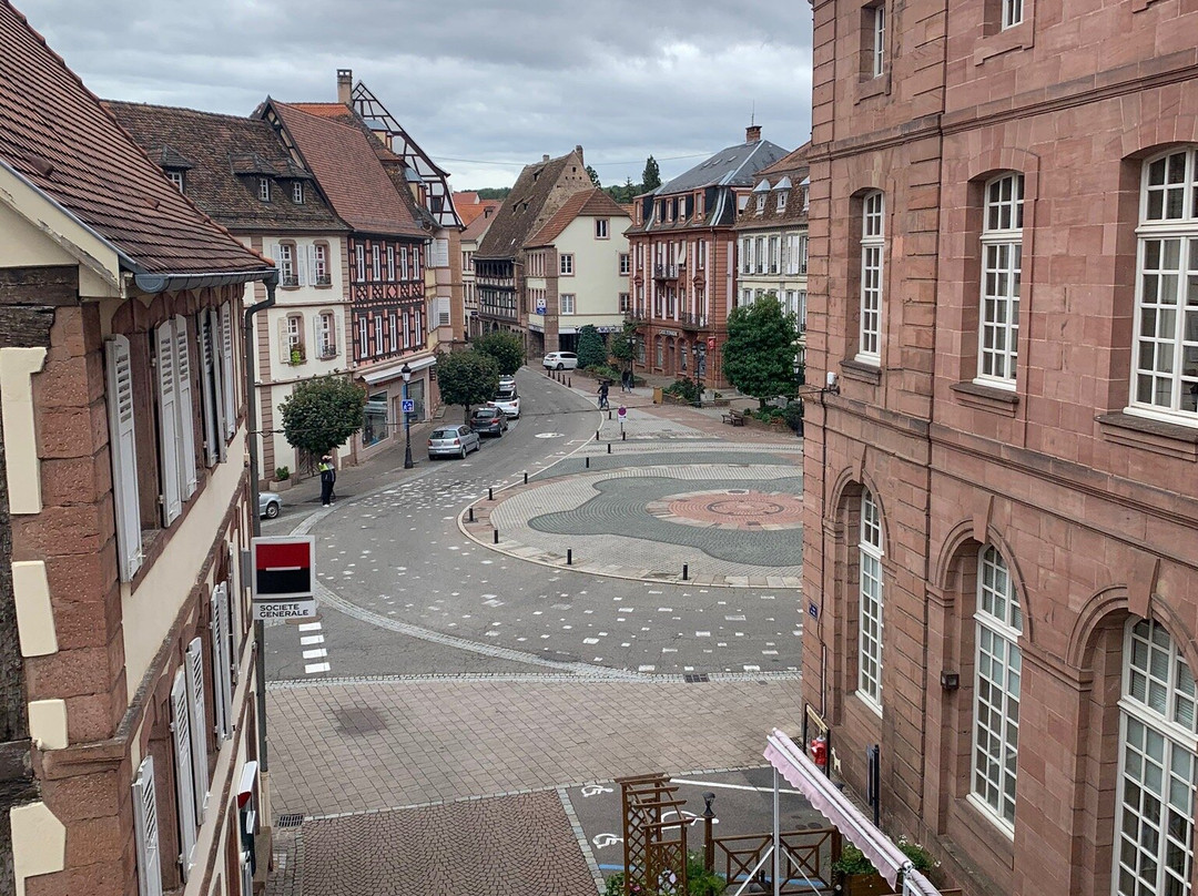 Logis Hotel  du Cygne主图