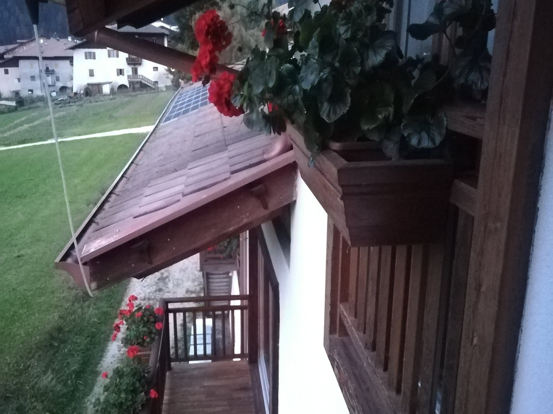 B&B Affittacamere Larix主图