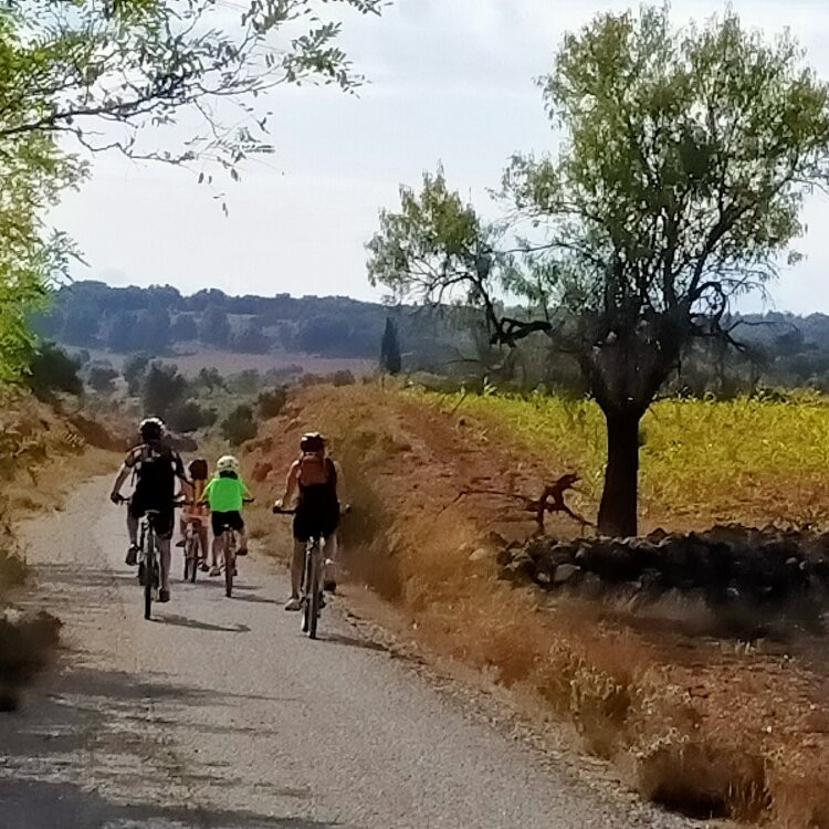Ojos Negros Greenway-特鲁埃尔必去景点