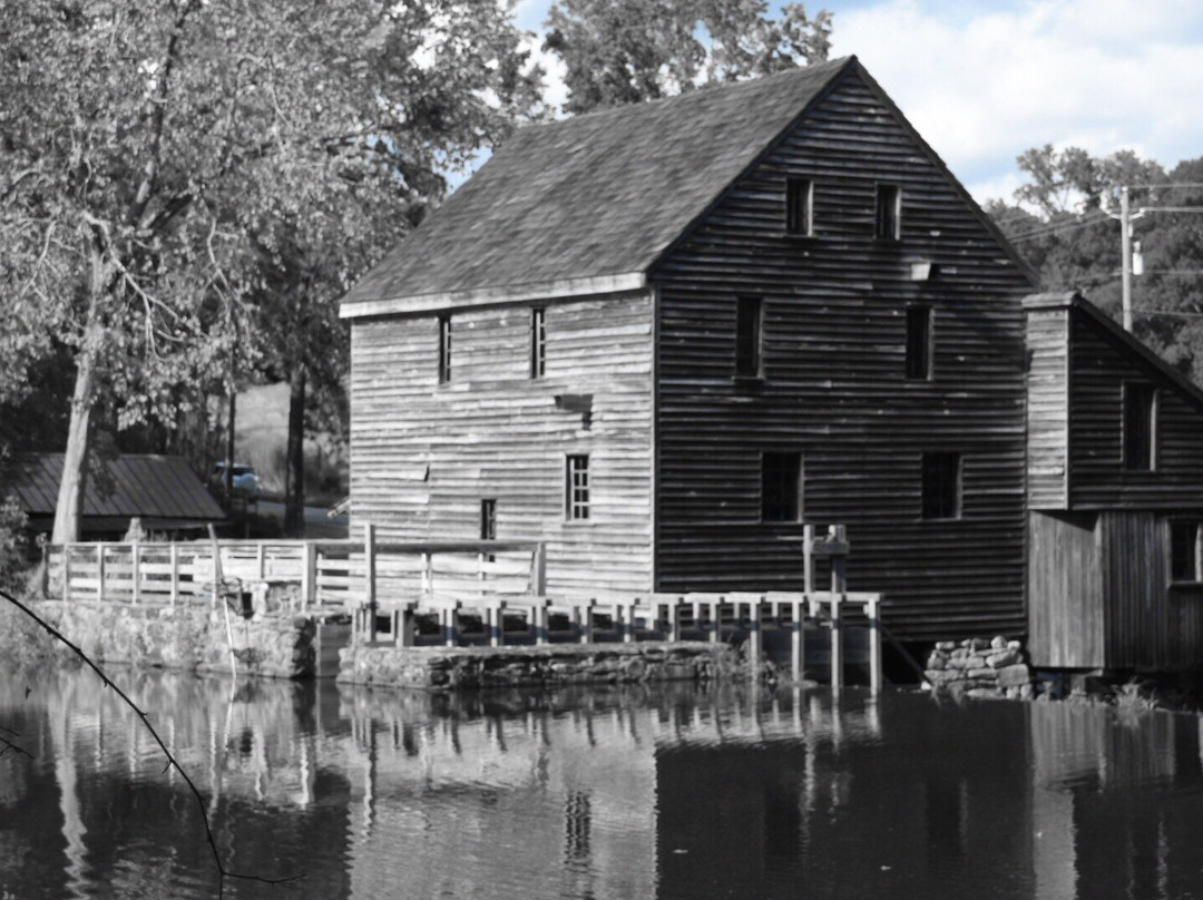 Historic Yates Mill County Park景点图片