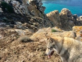 Spiaggia di Cala Sambuco-圣特雷莎加卢拉必去景点