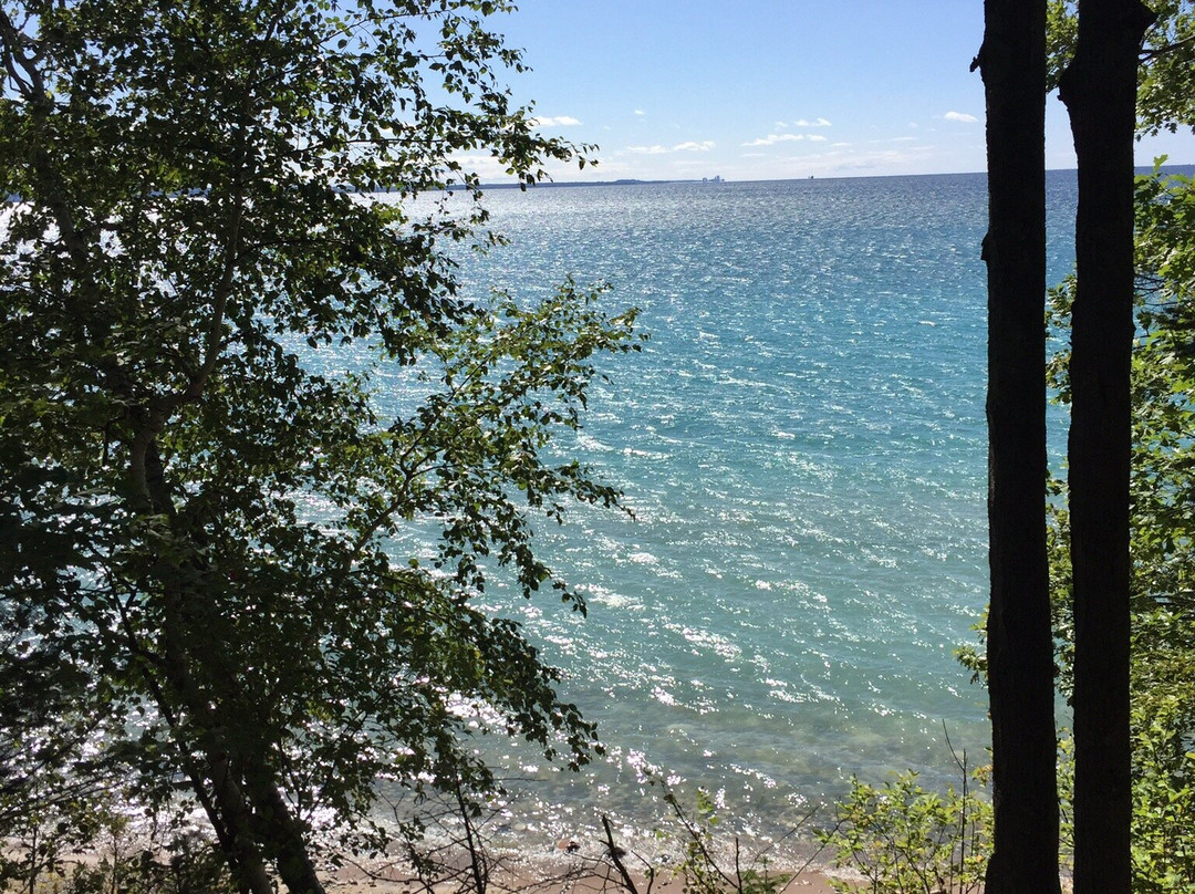 Thorne Swift Nature Preserve-Harbor Springs必去景点