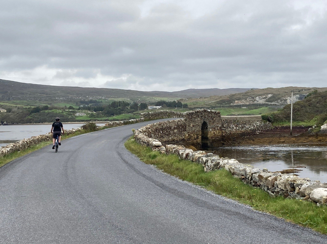 Clifden Bike Shop景点图片