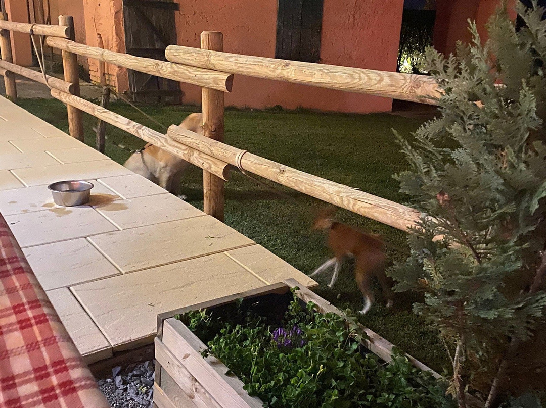Agriturismo La Soglia Del Parco主图