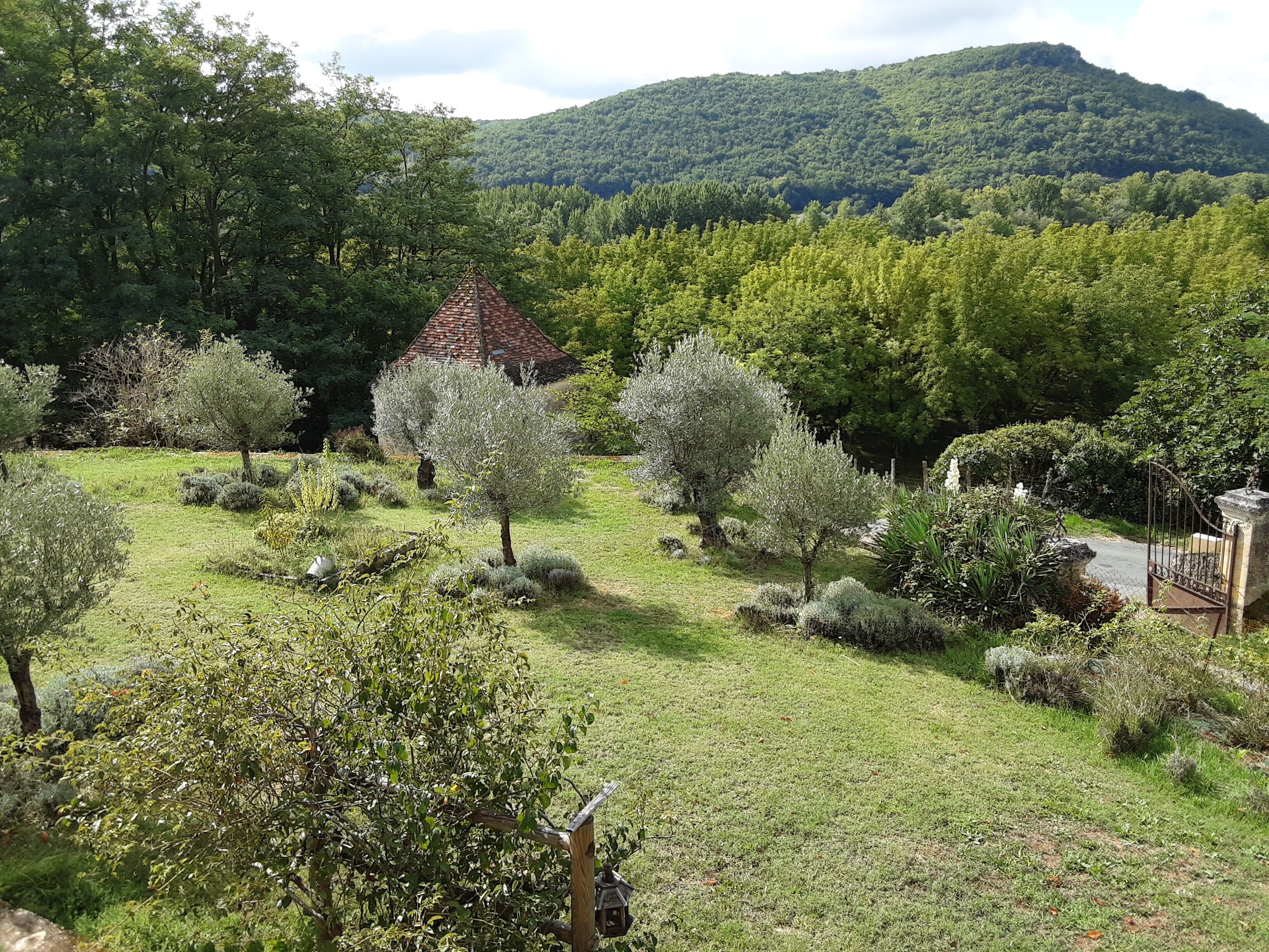 Les Hauts De Saint Vincent-酒店景观
