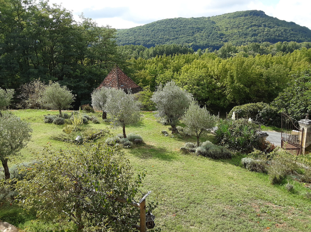 Les Hauts De Saint Vincent主图