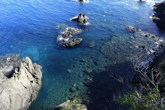 Gray Line Brazil-费尔南多-迪诺罗尼亚群岛必去景点