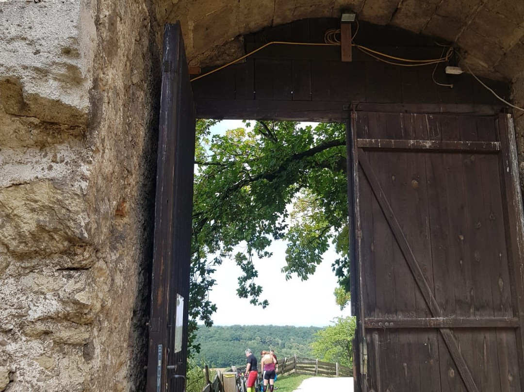Falkenstein Castle景点图片