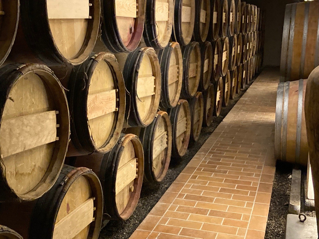 Chateau Poitevin景点图片