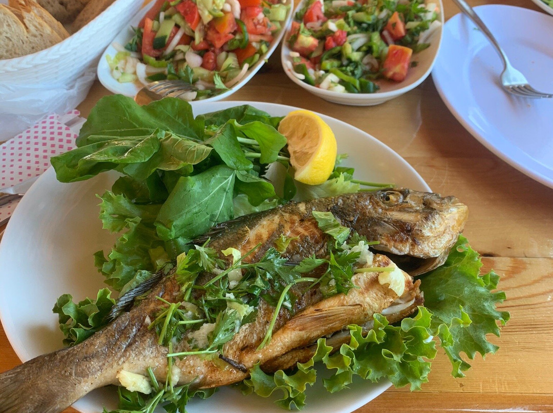 Prenses Lila Cruise-戈西克必去景点