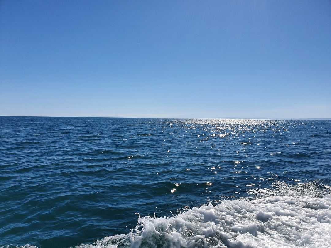 Speranza Croisières et pêche en mer-瓦尔拉普拉热必去景点