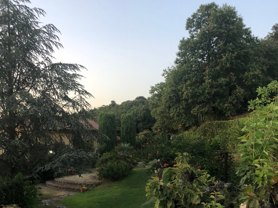 Villa la Paiola主图