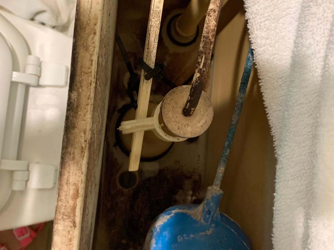 阿拉莫莎速8酒店主图