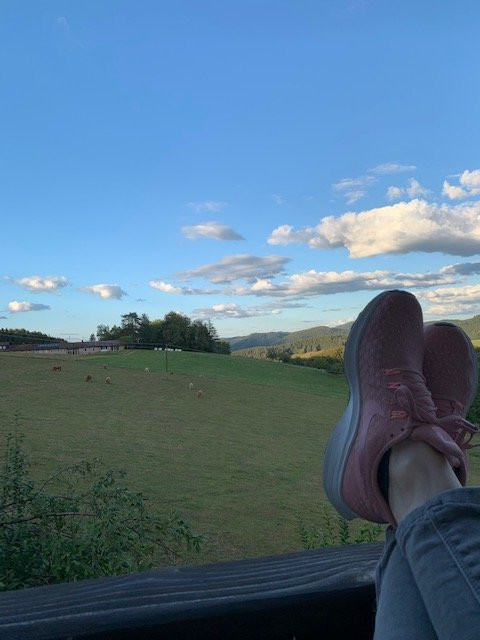 Pfaus Heidburg主图