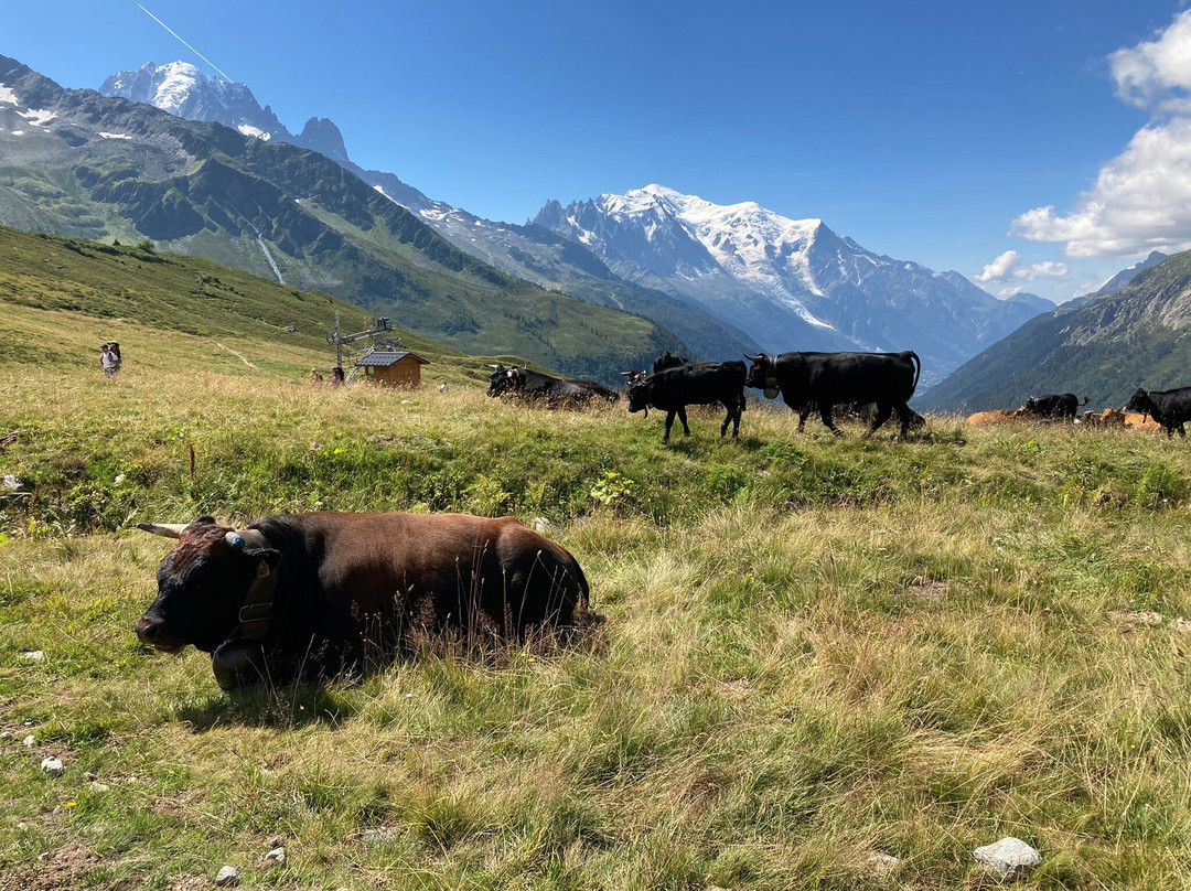 Telecabine Le Tour Col de Balme-Argentiere必去景点