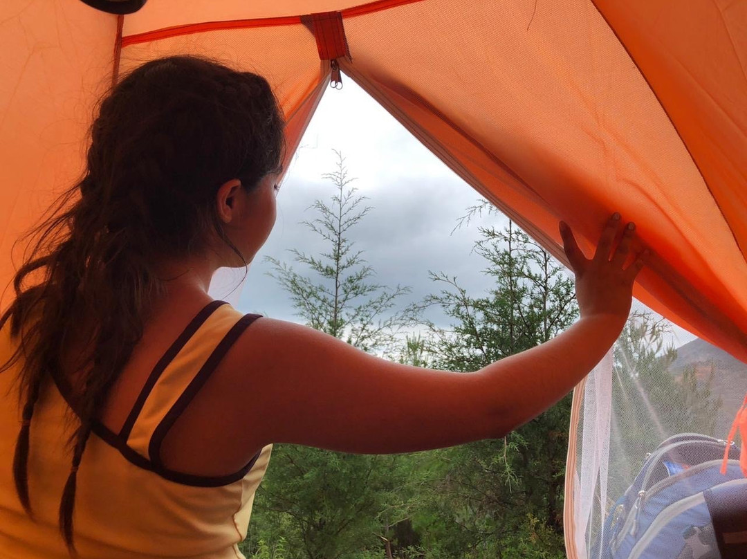 Campamento Derramadero de Bucareli景点图片