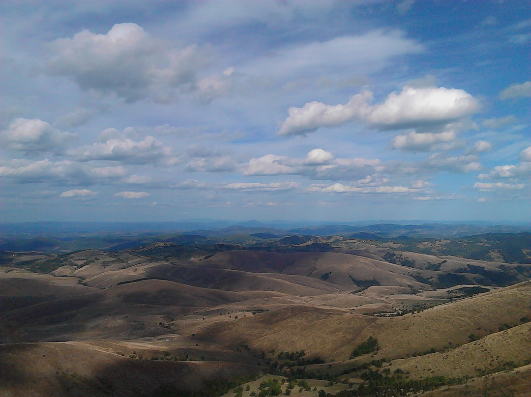 Cigota