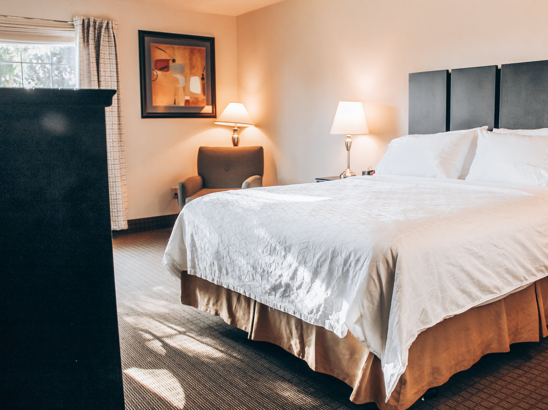 Lucille's Hotel主图