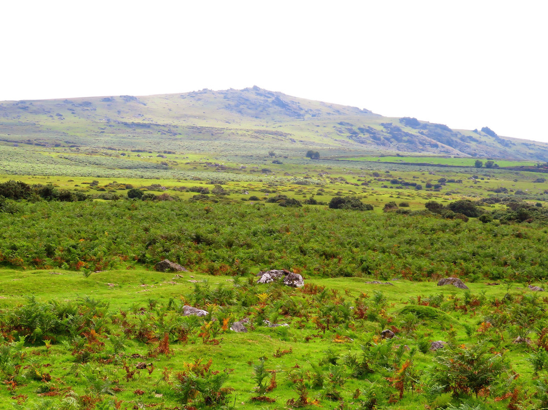 The Granite Way-Okehampton必去景点
