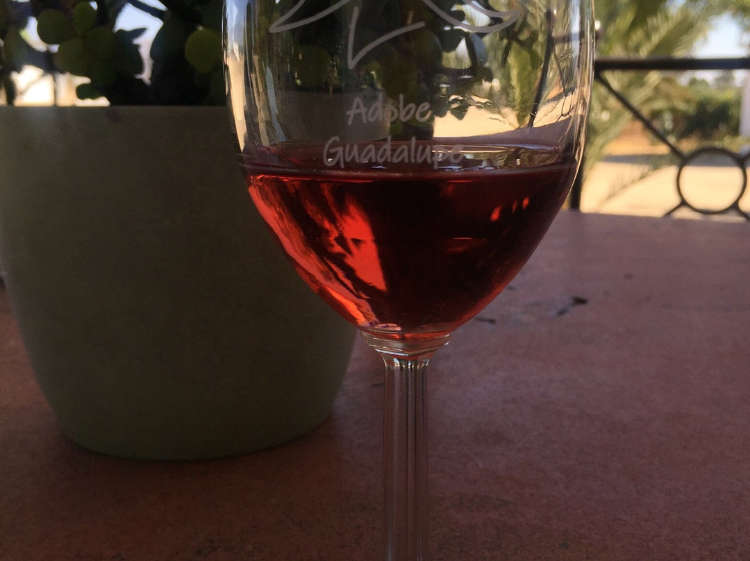 Adobe Guadalupe Vineyards & Inn Aztec Breeding Farm-Valle de Guadalupe必去景点