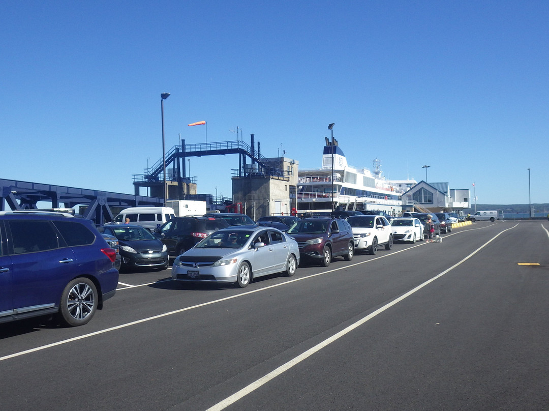 Bay Ferries景点图片