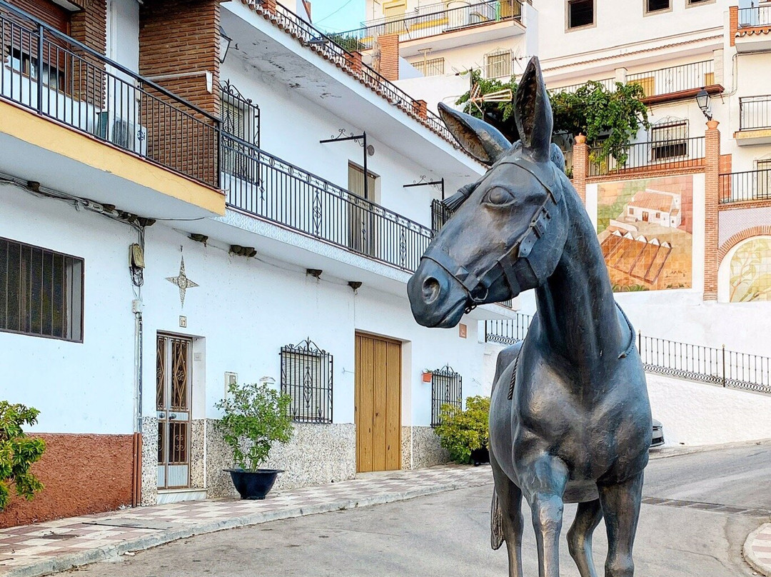 B&B Casa Pura Vista主图