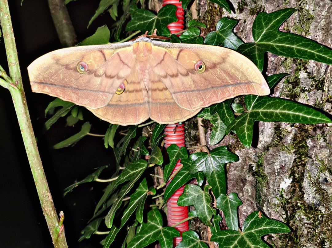 Rafting Kamp Encijan-Mestrevac必去景点