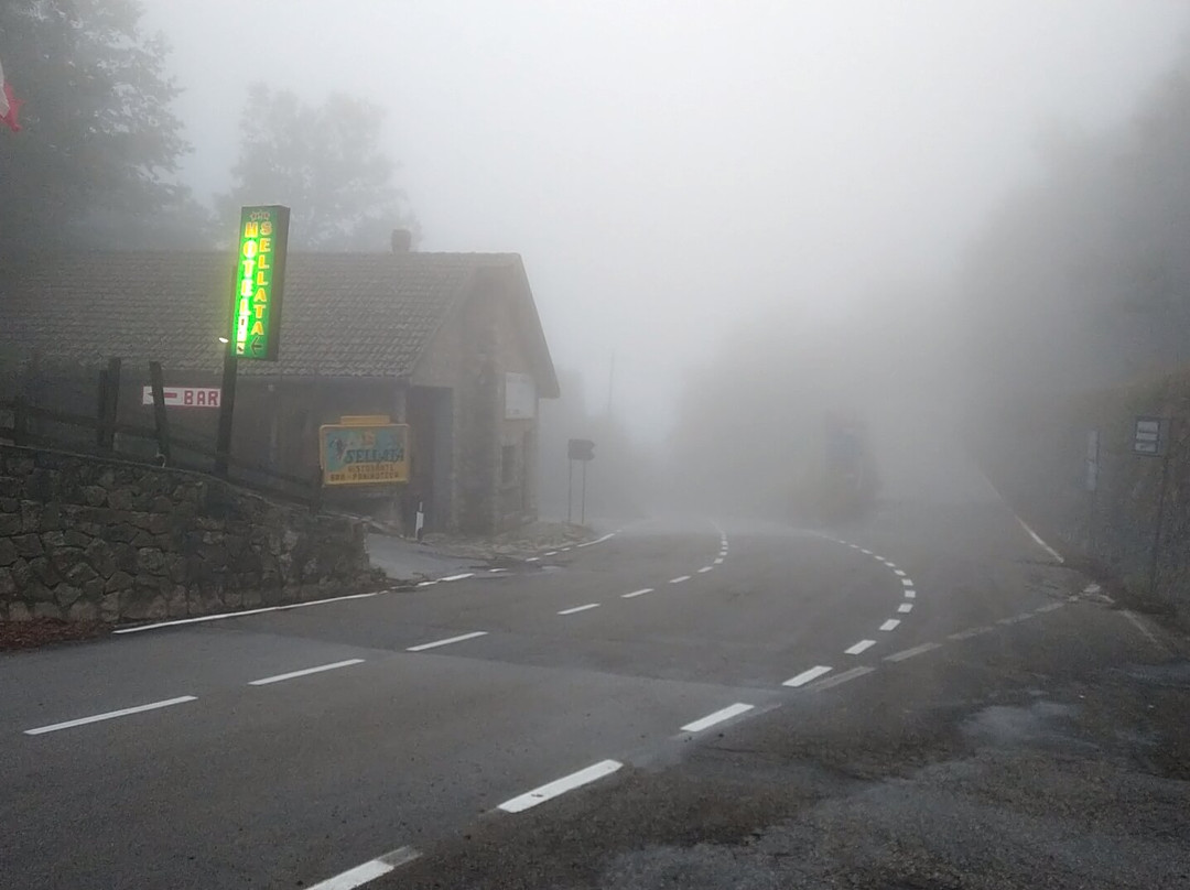 Hotel Chalet Sellata主图