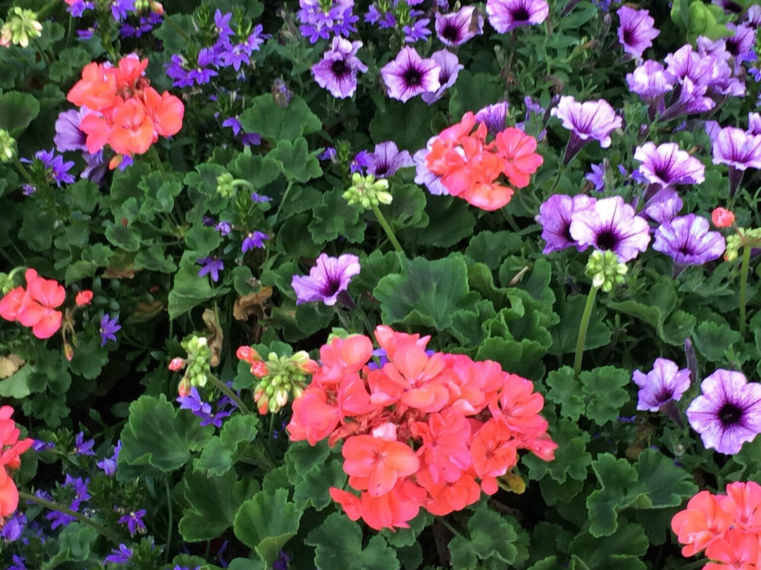 World Largest Wind Chime-Casey必去景点
