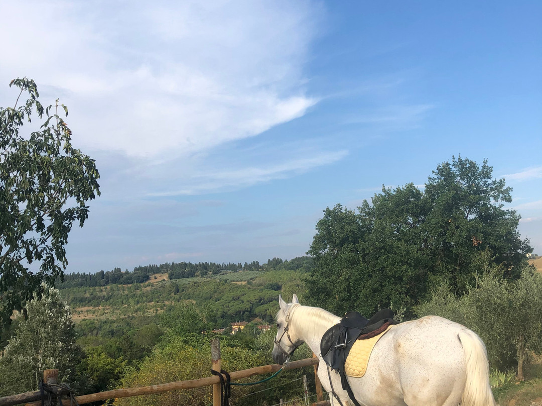 Maneggio Guelfi Neri - Passeggiate a cavallo nel chianti景点图片