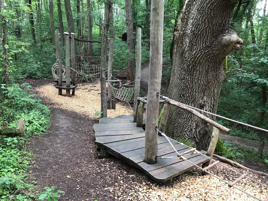 Nationalpark Hainich-Bad Langensalza必去景点