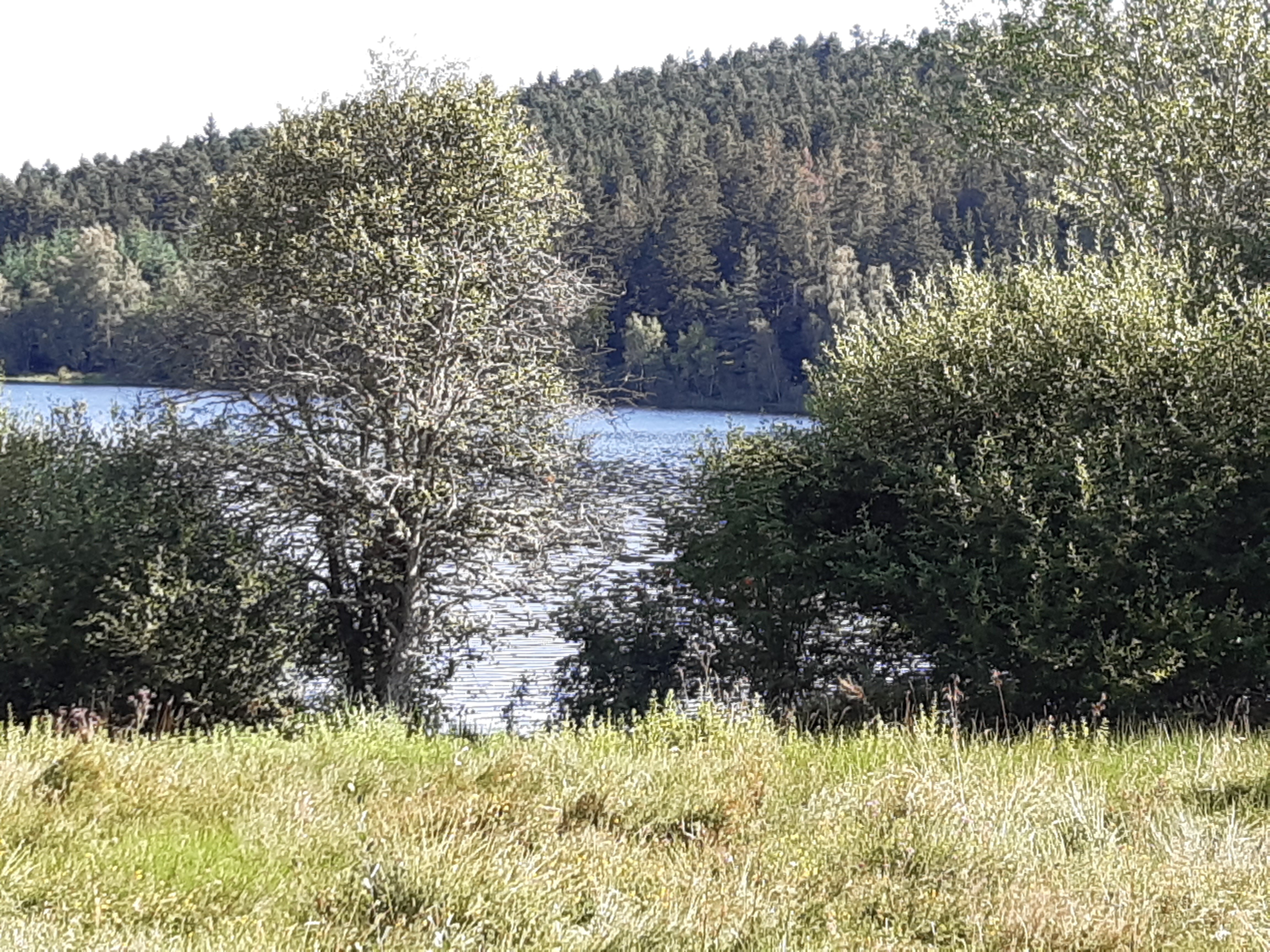 Lac de Malaguet-浴室