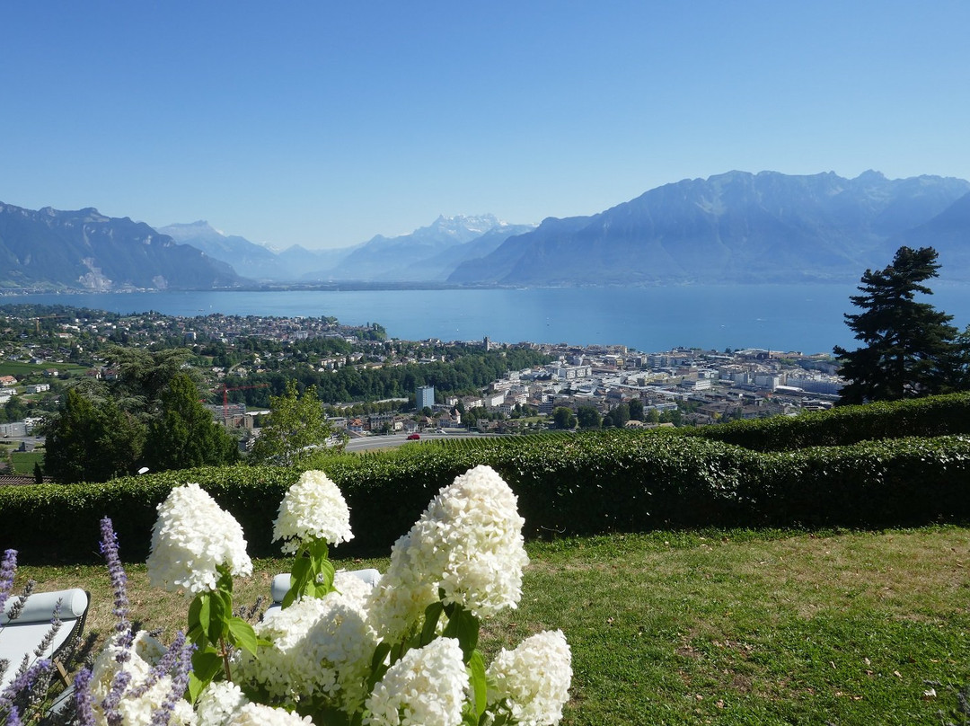 Hotel Du Leman - Centre De Seminaires主图