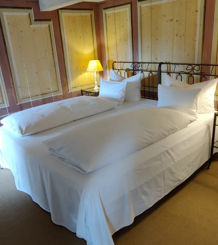Hotel Villa Sorgenfrei主图
