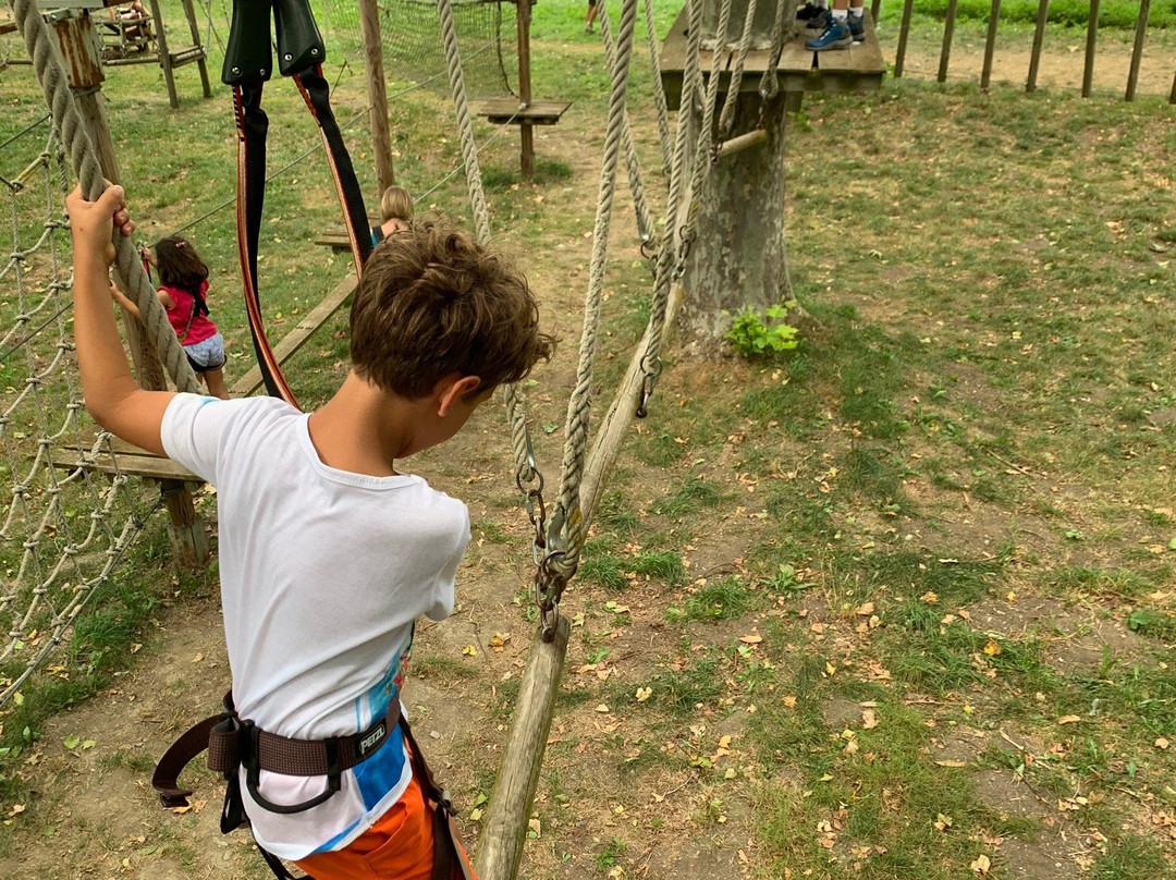 La forêt suspendue