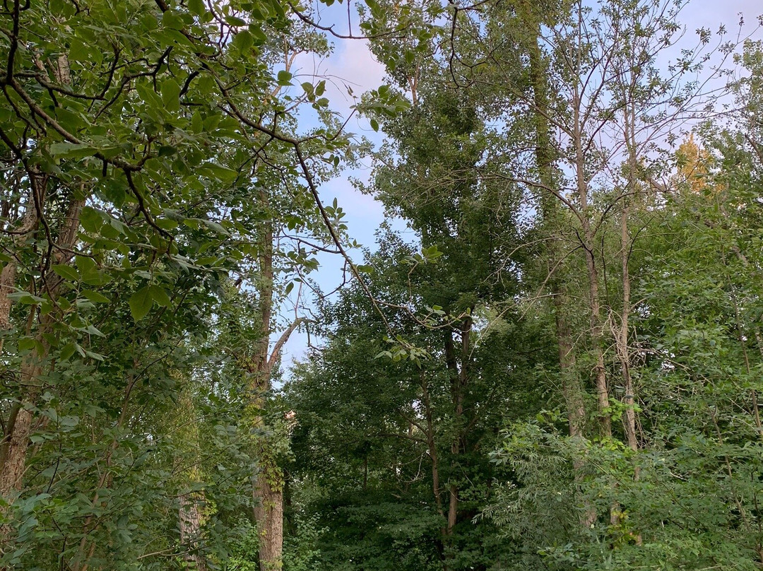 Billy Wilson Park-水牛城必去景点