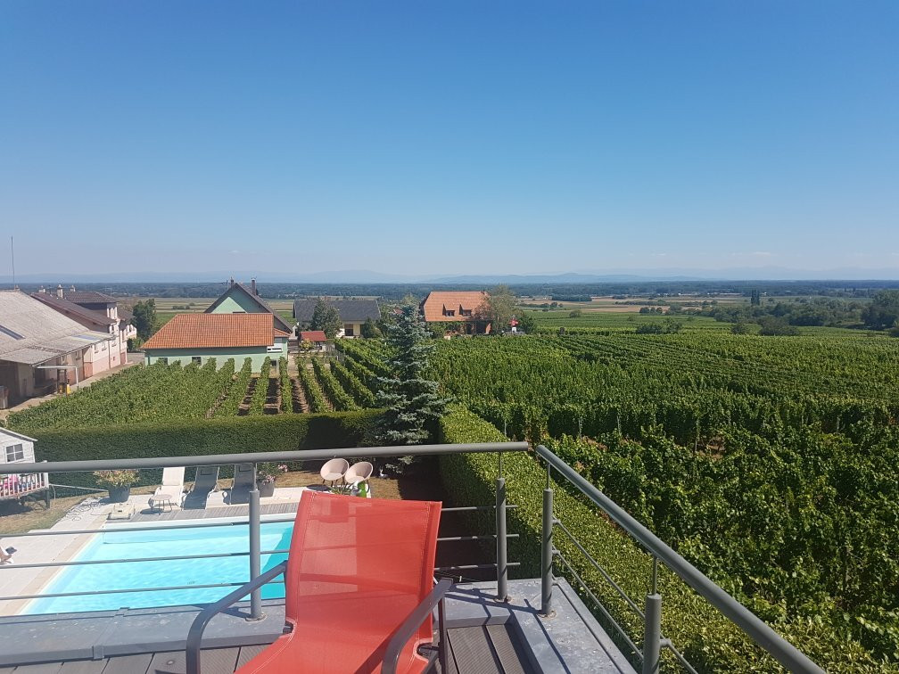 Au Coeur du Vignoble主图