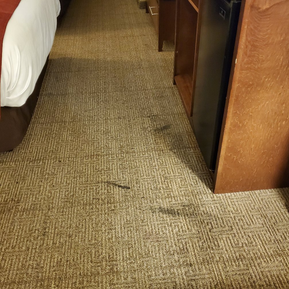Candlewood Suites Abilene By IHG-官方