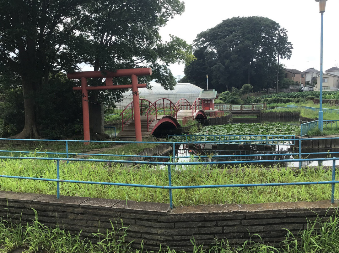 Benten Ike Park-东村山市必去景点
