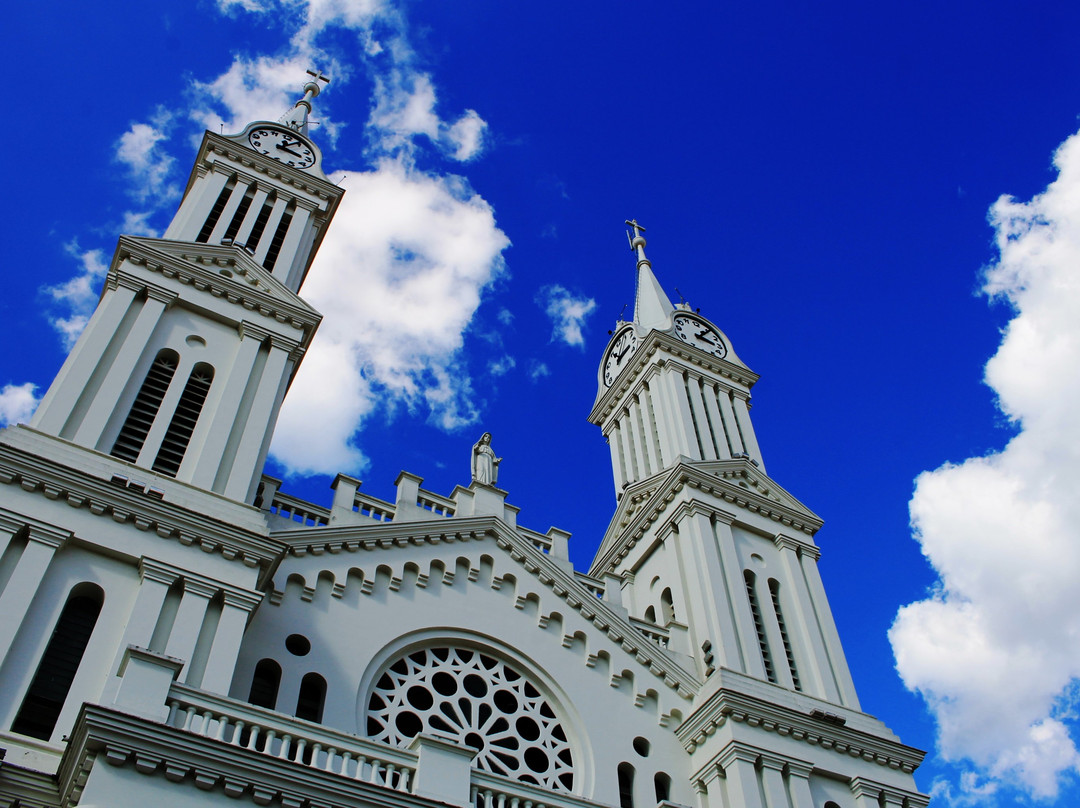 Cathedral of São João Batista景点图片