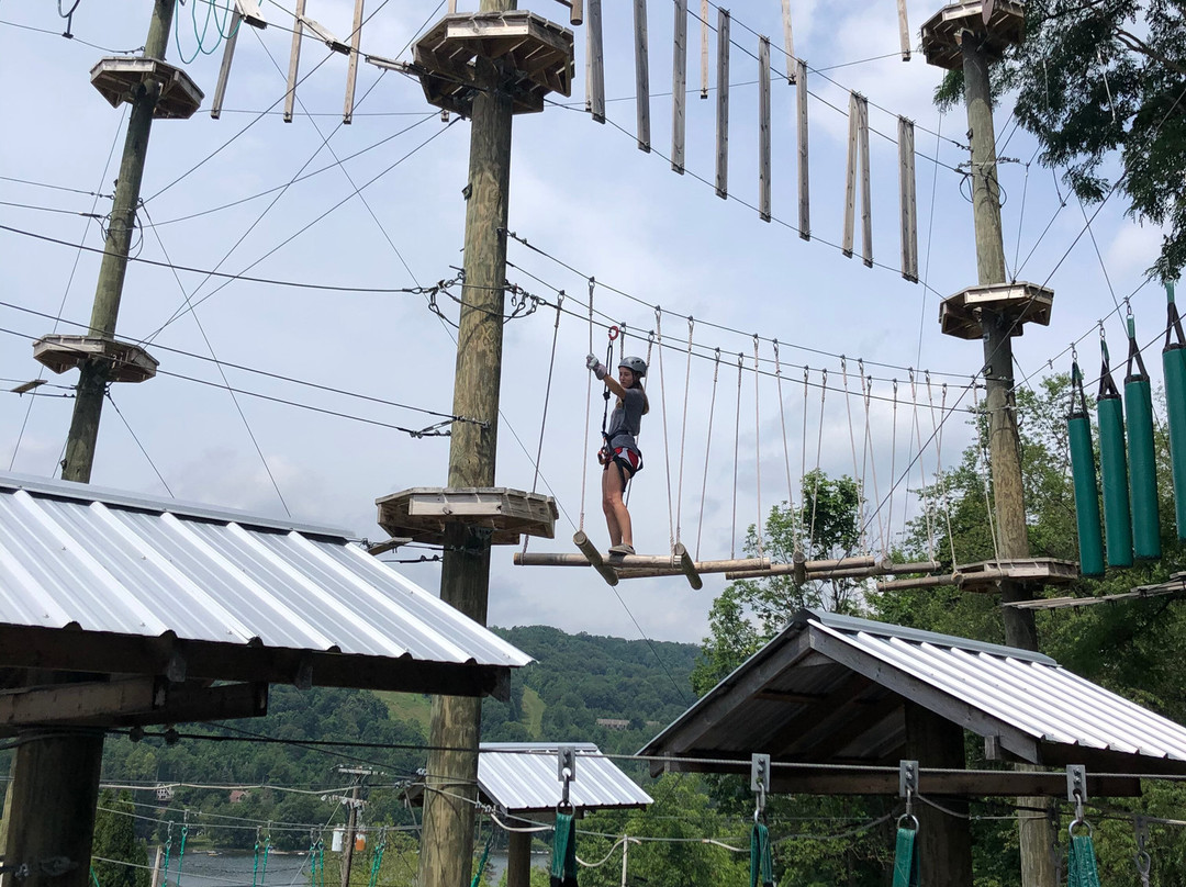 Moneky Business Aerial Adventure Park-McHenry必去景点