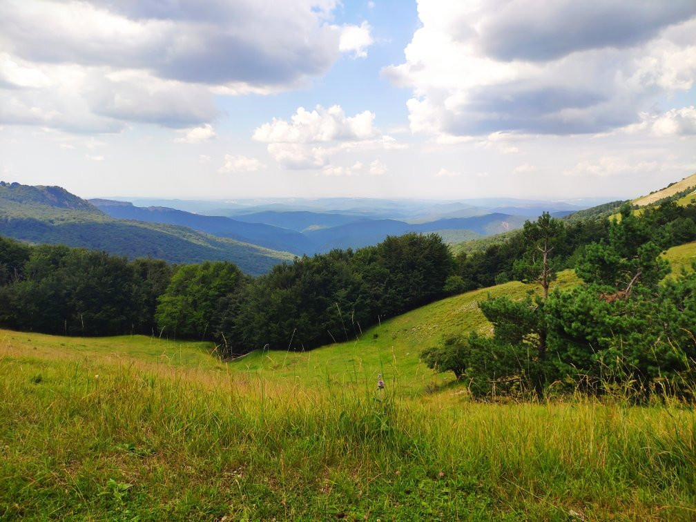 Crimea Nature Preserve-阿卢什塔必去景点