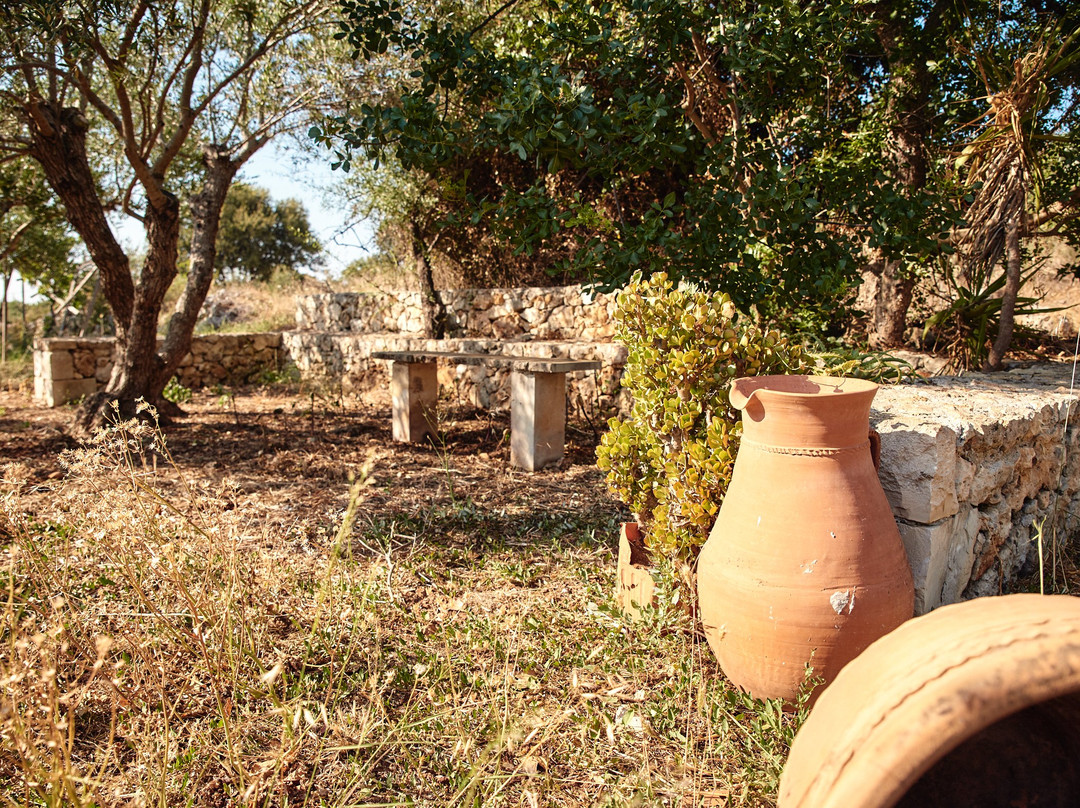 Fabrica Farm