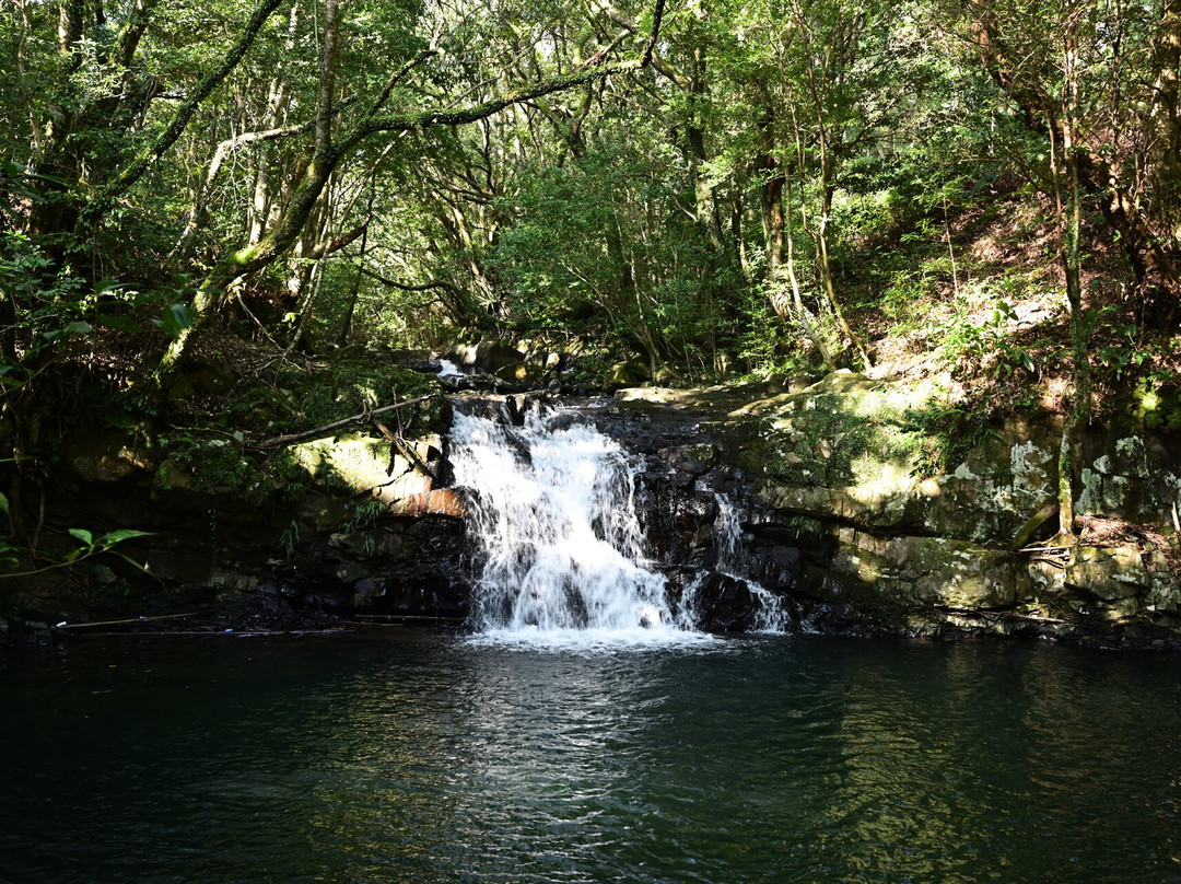 Obuchi Mebuchi no Taki Falls景点图片