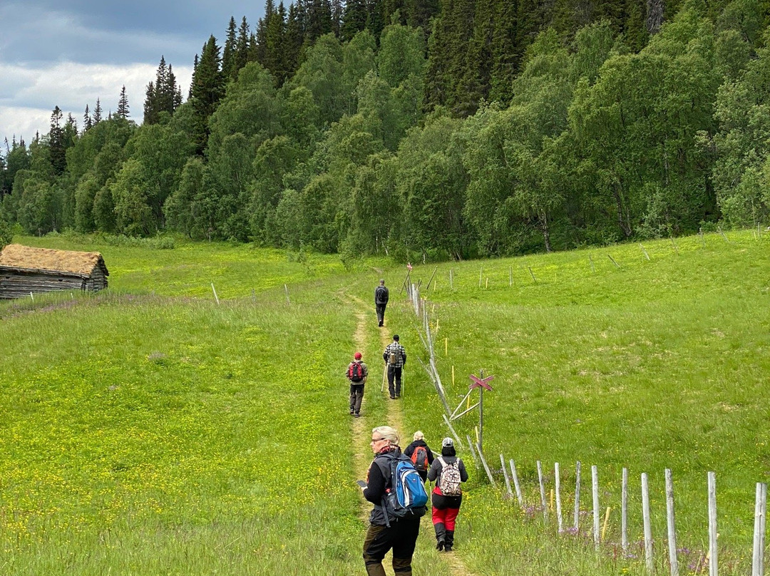 Stora Blåsjön旅游攻略图片