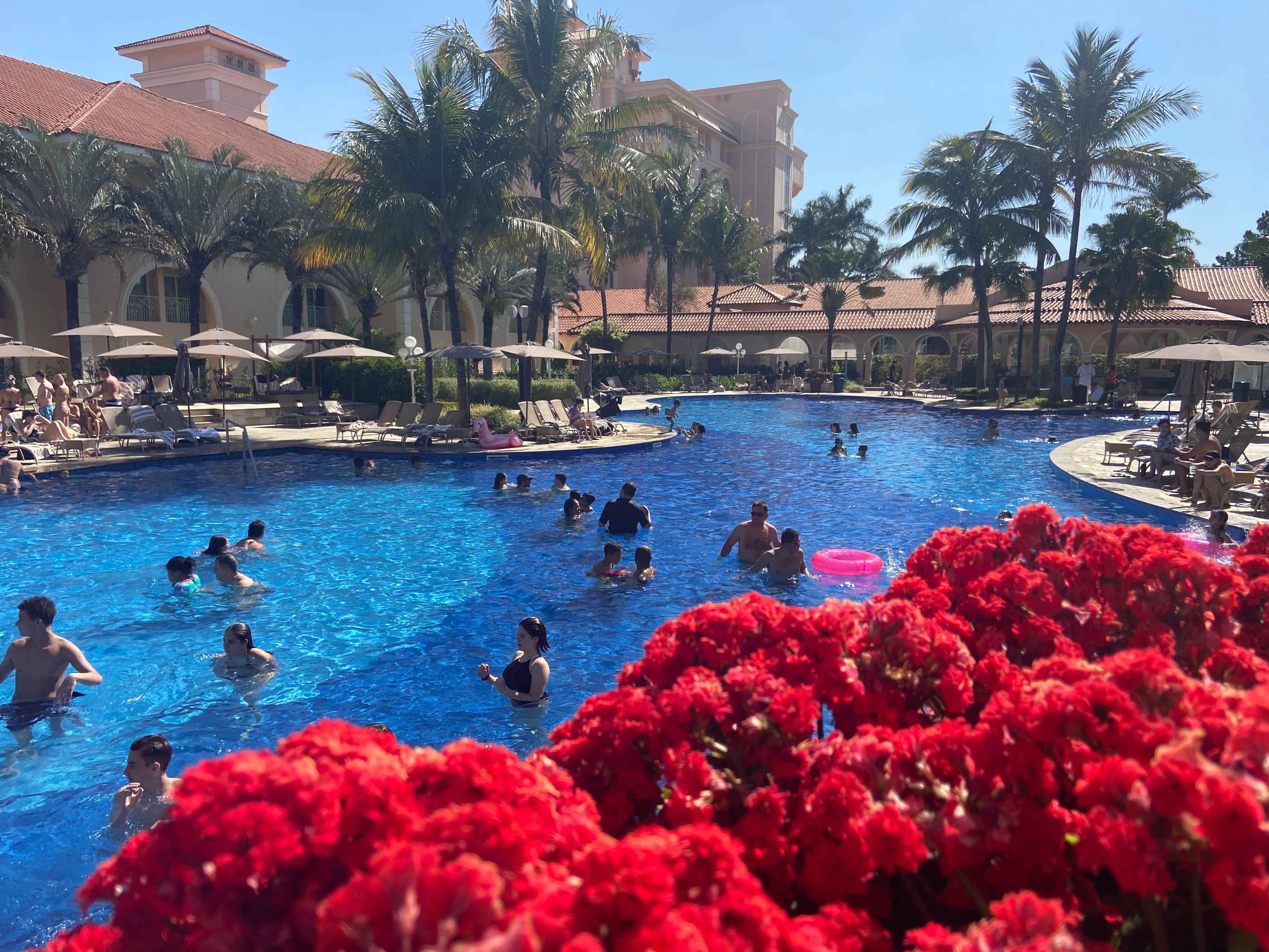 Royal Palm Plaza Resort Campinas-泳池